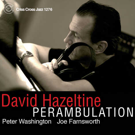 David Hazeltine - Perambulation